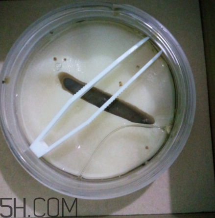 膜法世家金桂花眼膜怎么樣？膜法世家金桂花眼膜好用嗎？