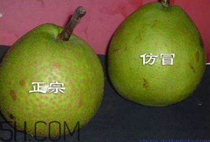 萊陽梨幾月份才會(huì)有？正宗萊陽梨哪里能買的到