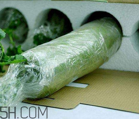 如何鑒別真假沙窩蘿卜？沙窩蘿卜怎么區(qū)分好壞
