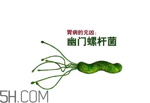 胃幽門(mén)螺旋菌陽(yáng)性怎么辦？幽門(mén)螺桿菌能徹底治愈嗎