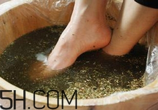 用什么泡腳比較好？艾葉泡腳還是紅花泡腳？