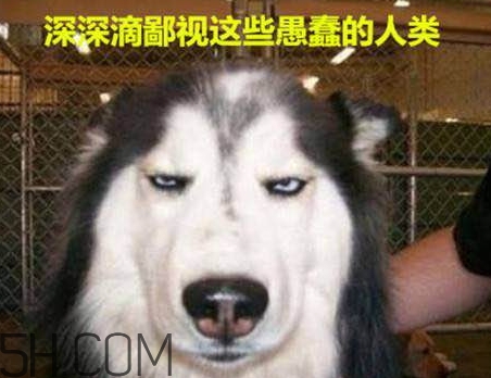 女生說我醉了什么意思？女生說喝多了怎么回復(fù)