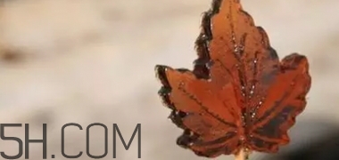 楓糖色口紅是什么顏色？楓糖色口紅試色