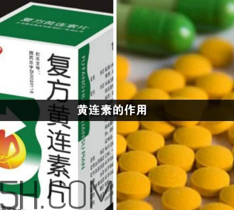 黃連素能降血糖嗎？黃連素能經(jīng)常吃嗎？