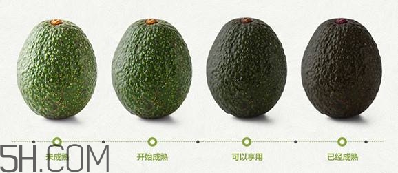 生牛油果可以放冰箱嗎？生牛油果怎么保存？