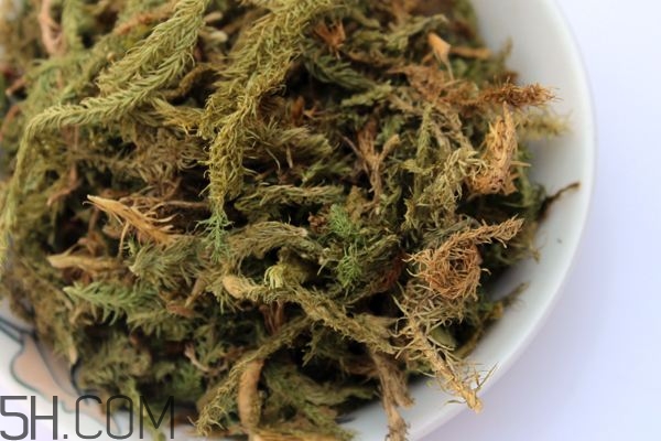 什么是伸筋草？伸筋草的功效與作用是什么？