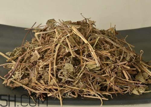 什么是透骨草？透骨草的功效與作用是什么？