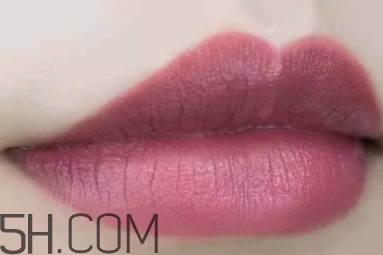 mac twig和brick o la一樣嗎？mac twig和brick o la試色對比