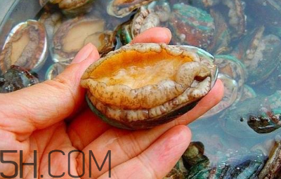 鮑魚怎么做好吃？吃鮑魚注意事項(xiàng)