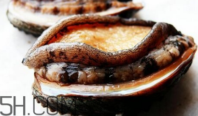 新鮮鮑魚怎么洗才干凈？鮑魚做法大全