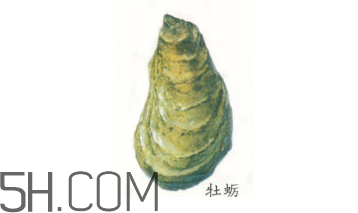 吃生蠔應(yīng)該注意哪些事項(xiàng)？生蠔與牡蠣的區(qū)別