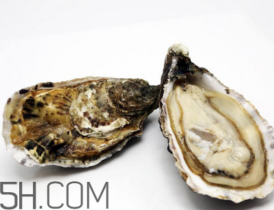 量吃生蠔有哪些好處？生蠔糖尿病人能吃嗎？