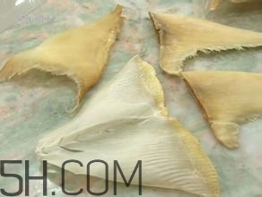 真假魚(yú)翅怎么辨別？魚(yú)翅的營(yíng)養(yǎng)價(jià)值