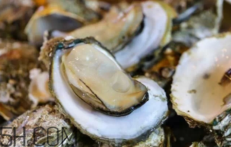 生蠔生吃好嗎？生蠔怎么吃最有營養(yǎng)？