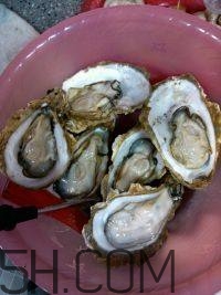 吃生蠔應(yīng)該注意哪些事項(xiàng)？生蠔與牡蠣的區(qū)別