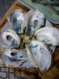 吃生蠔應(yīng)該注意哪些事項(xiàng)？生蠔與牡蠣的區(qū)別