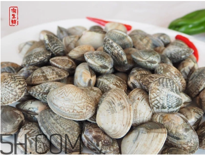 花甲可以冷凍嗎？養(yǎng)花甲鹽和水的比例是多少？