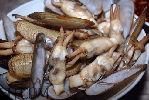 蟶子里面的黑色能吃嗎？蟶子為什么一撒鹽就出來(lái)？