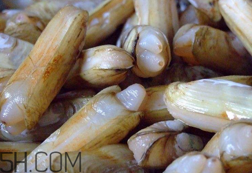 蟶子里面的黑色能吃嗎？蟶子為什么一撒鹽就出來(lái)？