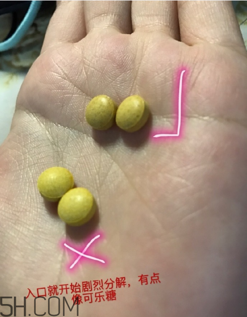 新谷酵素多少錢一盒？新谷酵素真假辨認