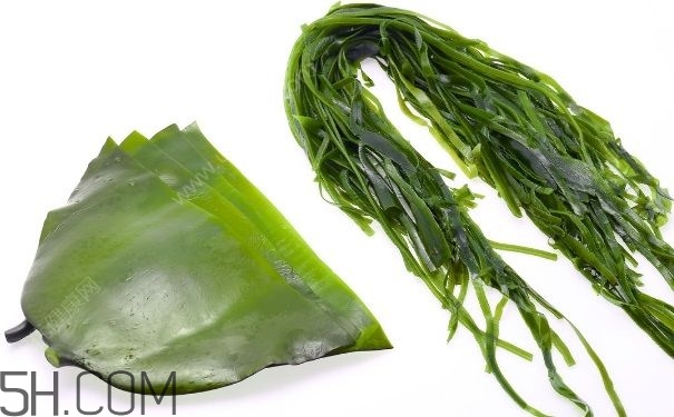 海帶的做法有哪些？怎么挑選優(yōu)質(zhì)海帶？