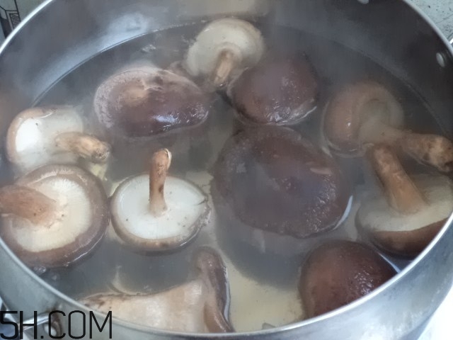 香菇和白蘿卜可以一起吃嗎？香菇和白蘿卜一起吃有什么好處？