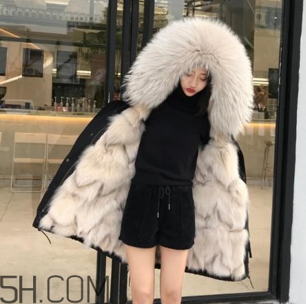 派克大衣內(nèi)膽什么毛好？派克服什么內(nèi)膽好？