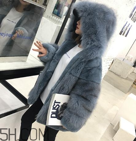 獺兔毛皮草一千元貴嗎？獺兔毛皮草2018年價(jià)格