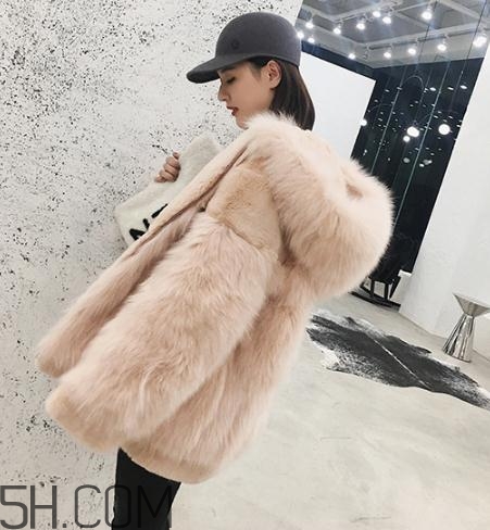 獺兔毛和兔毛哪個好？獺兔毛和兔毛的區(qū)別