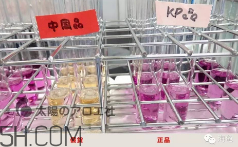 太陽社玻尿酸孕婦能用嗎？怎樣辯別真假太陽社玻尿酸？