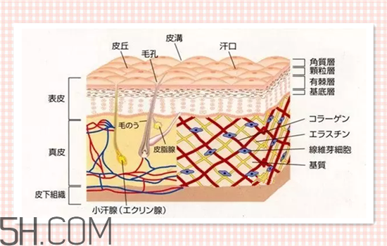 水光針可以祛斑嗎？涂抹式水光針的效果好嗎？