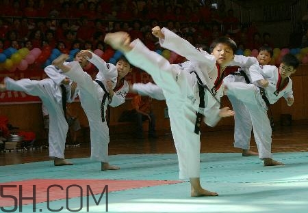 武術(shù)和跆拳道哪個對孩子好？武術(shù)和跆拳道的區(qū)別在哪里？