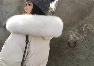 狐貍毛領會掉毛嗎？狐貍毛領掉毛怎么辦？
