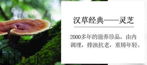 羽西小鮮瓶安瓶怎么用？羽西小鮮瓶安瓶怎么樣