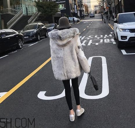 十字貂和水貂哪個好？十字貂和水貂哪個貴？