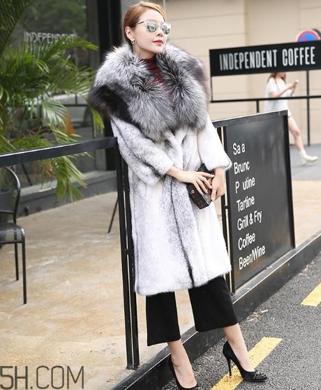丹麥貂好還是美國貂好？丹麥貂和美國貂的區(qū)別