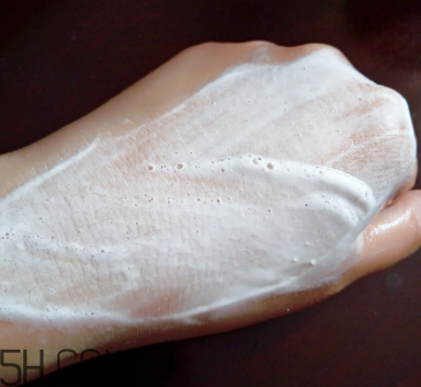 詩婷露雅堅果潔面乳有泡沫嗎？適合油皮嗎？