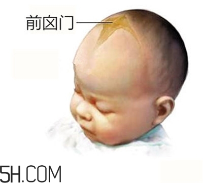 寶寶囟門是怎樣的一個部位？寶寶的囟門要怎樣保護比較好？