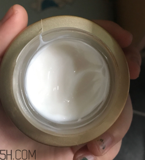 詩婷露雅蝸牛面霜適合秋冬嗎？適合油皮嗎？