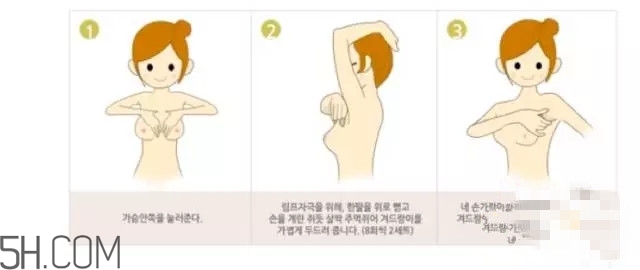 常見的豐胸湯有哪些？女人豐胸湯有哪些？