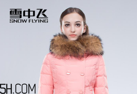 最貴的羽絨服什么價(jià)格？羽絨服什么牌子的好？