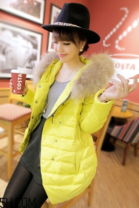 最貴的羽絨服什么價(jià)格？羽絨服什么牌子的好？
