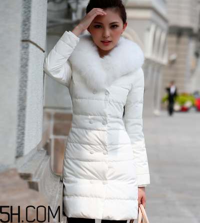 最貴的羽絨服什么價(jià)格？羽絨服什么牌子的好？