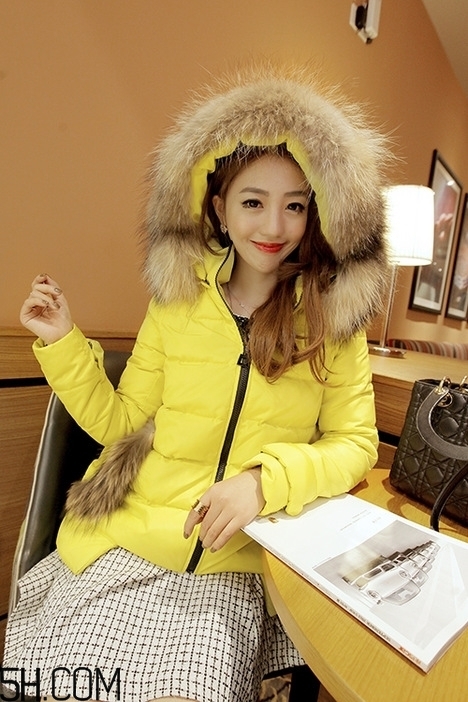 最貴的羽絨服什么價(jià)格？羽絨服什么牌子的好？