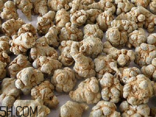三七粉苦的好還是不苦的好？三七粉越苦越好嗎？