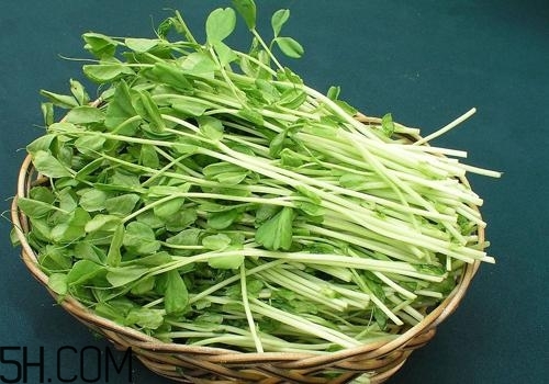 女性吃什么能瘦臉？能瘦臉的食物有哪些？