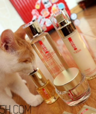 羽西蟲草新肌水有什么功效？適合什么膚質(zhì)？