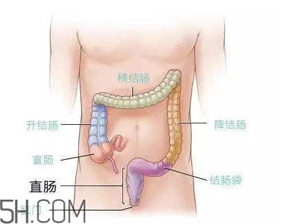 宿便有什么危害？如何清除宿便？