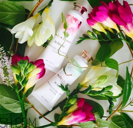 linden leaves香氛護(hù)手霜好用嗎？laura ashley護(hù)手霜好用嗎？