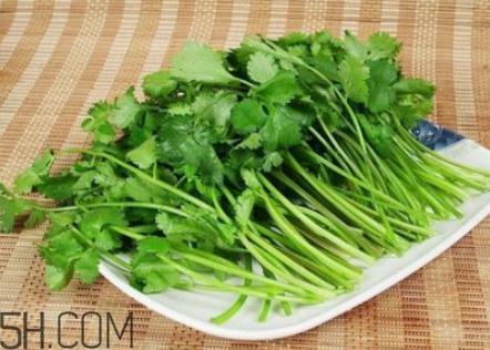 香菜根煮水怎么煮？香菜根煮水喝幾天見(jiàn)效？